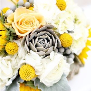 Meet your Posher, Williana